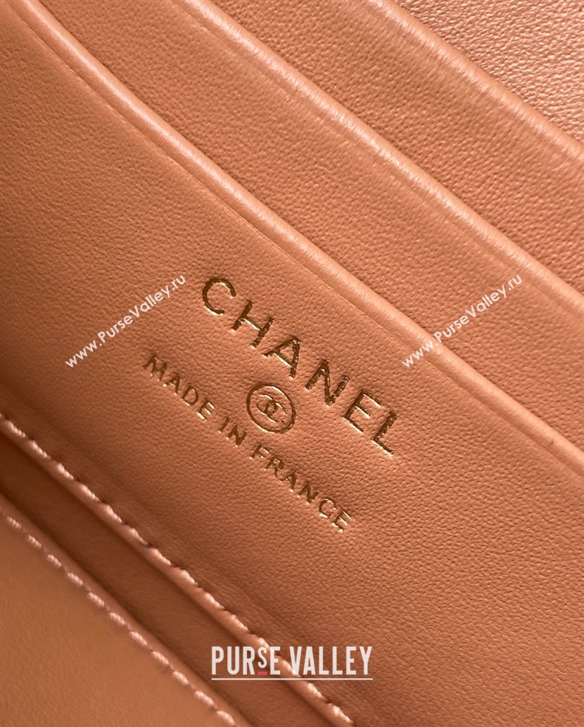 Chanel Grainy Calfskin Large Vanity with CC Chain Brown 2025 AP3940 (yezi-250812109)