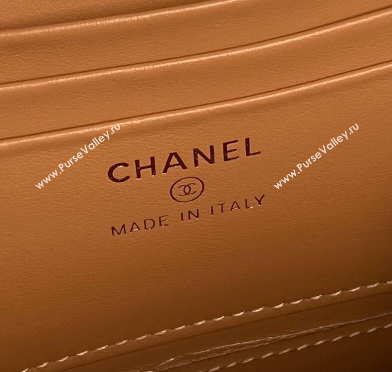 Chanel Grained Calfskin Vanity Case with Top Handle Brown 2025 AP4799 (yezi-250813003)