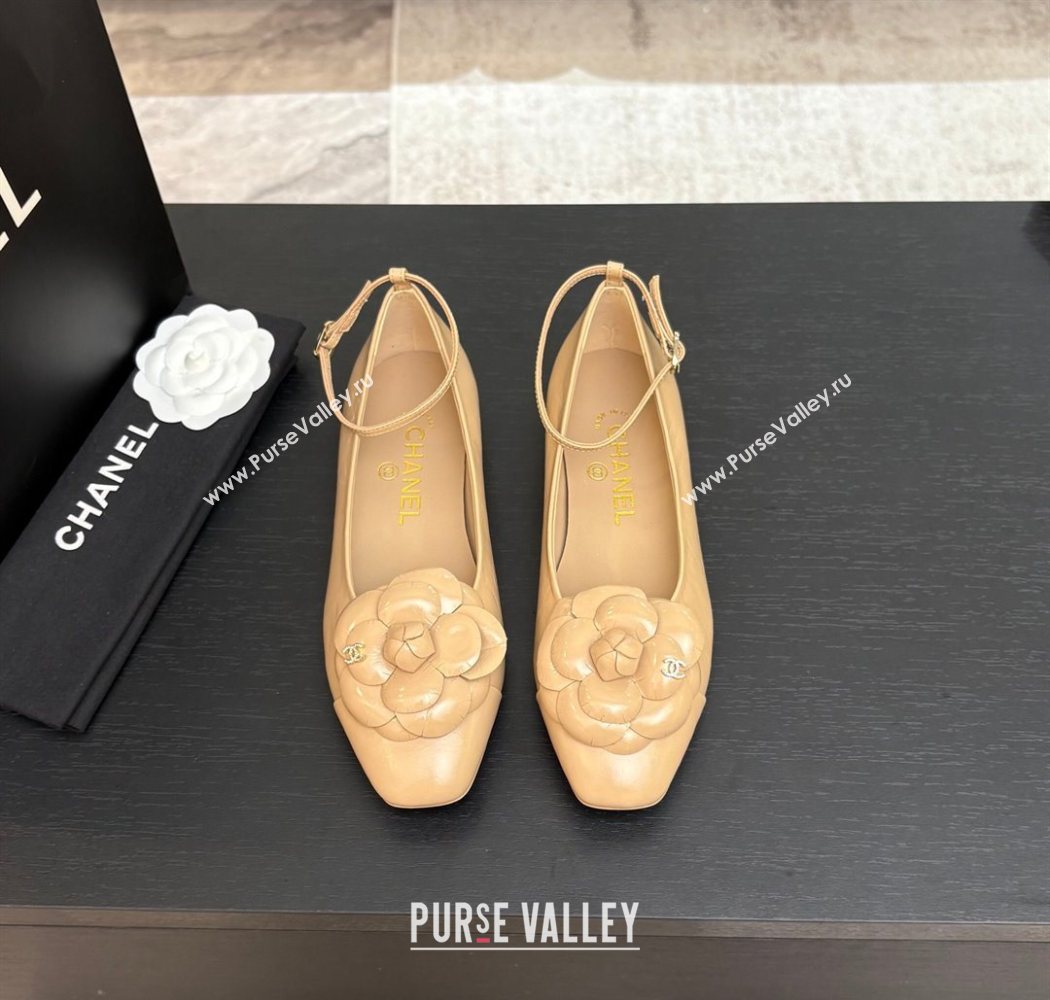 Chanel Shiny Calfskin Ballet flats with Ankle Strap and Camellia White 2025 G46520 (MD-250901181)