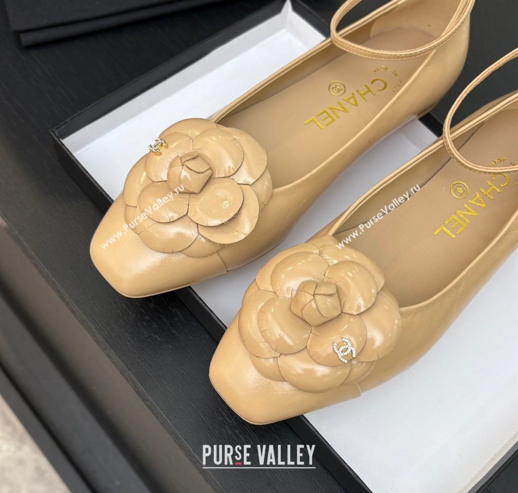 Chanel Shiny Calfskin Ballet flats with Ankle Strap and Camellia White 2025 G46520 (MD-250901181)