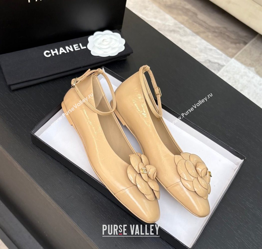 Chanel Shiny Calfskin Ballet flats with Ankle Strap and Camellia White 2025 G46520 (MD-250901181)