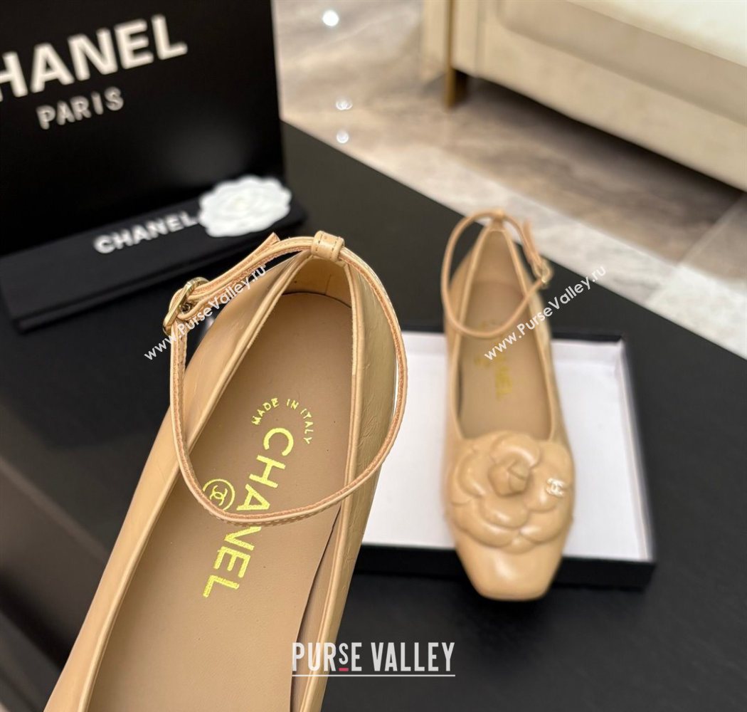 Chanel Shiny Calfskin Ballet flats with Ankle Strap and Camellia White 2025 G46520 (MD-250901181)
