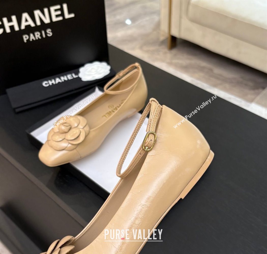 Chanel Shiny Calfskin Ballet flats with Ankle Strap and Camellia White 2025 G46520 (MD-250901181)