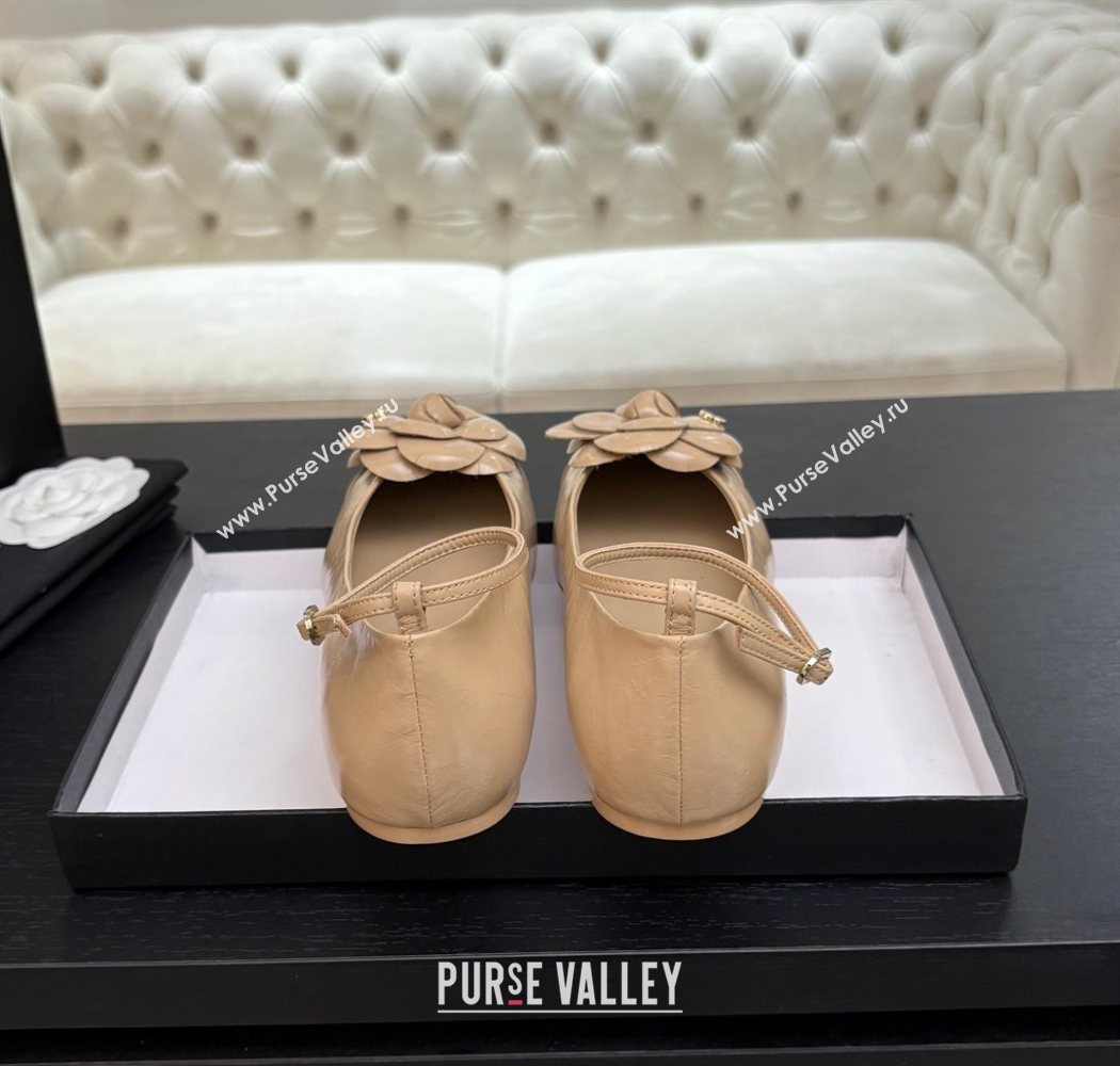 Chanel Shiny Calfskin Ballet flats with Ankle Strap and Camellia White 2025 G46520 (MD-250901181)