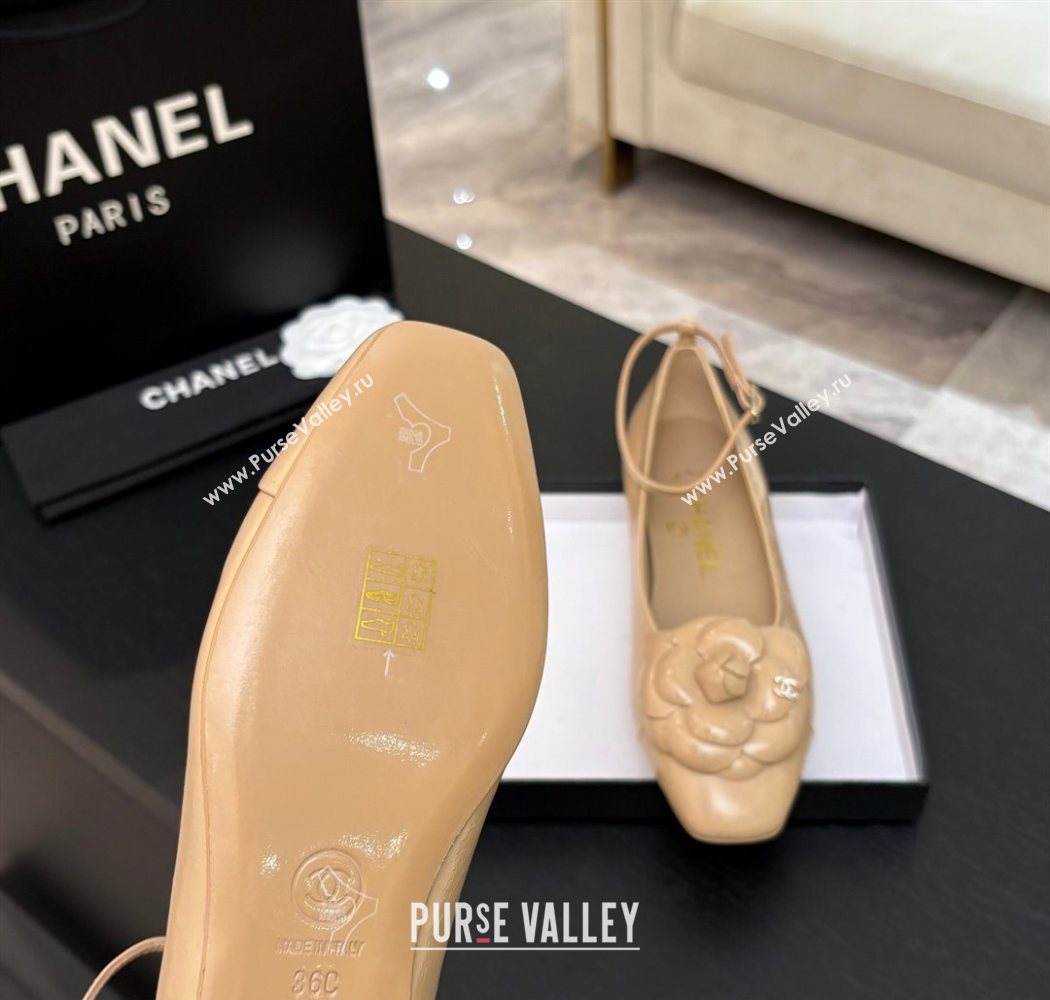 Chanel Shiny Calfskin Ballet flats with Ankle Strap and Camellia White 2025 G46520 (MD-250901181)