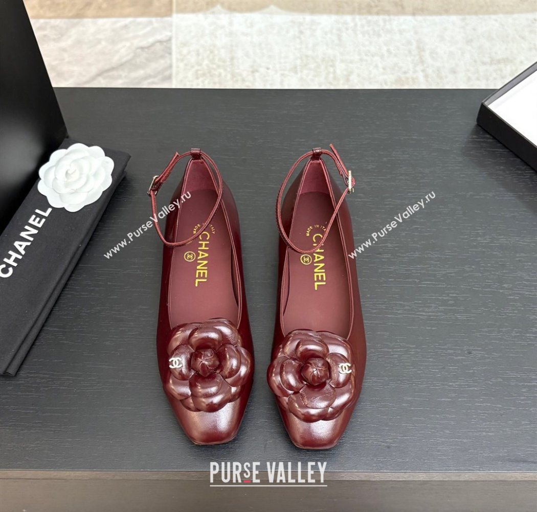 Chanel Shiny Calfskin Ballet flats with Ankle Strap with Camellia Burgundy 2025 G46520 (MD-250901180)