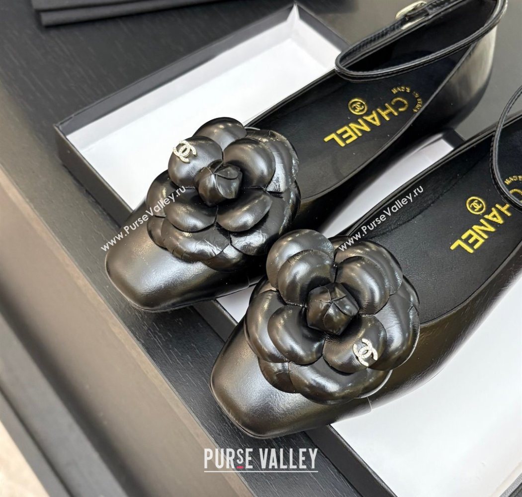 Chanel Shiny Calfskin Ballet flats with Ankle Strap and Camellia Black 2025 G46520 (MD-250901183)