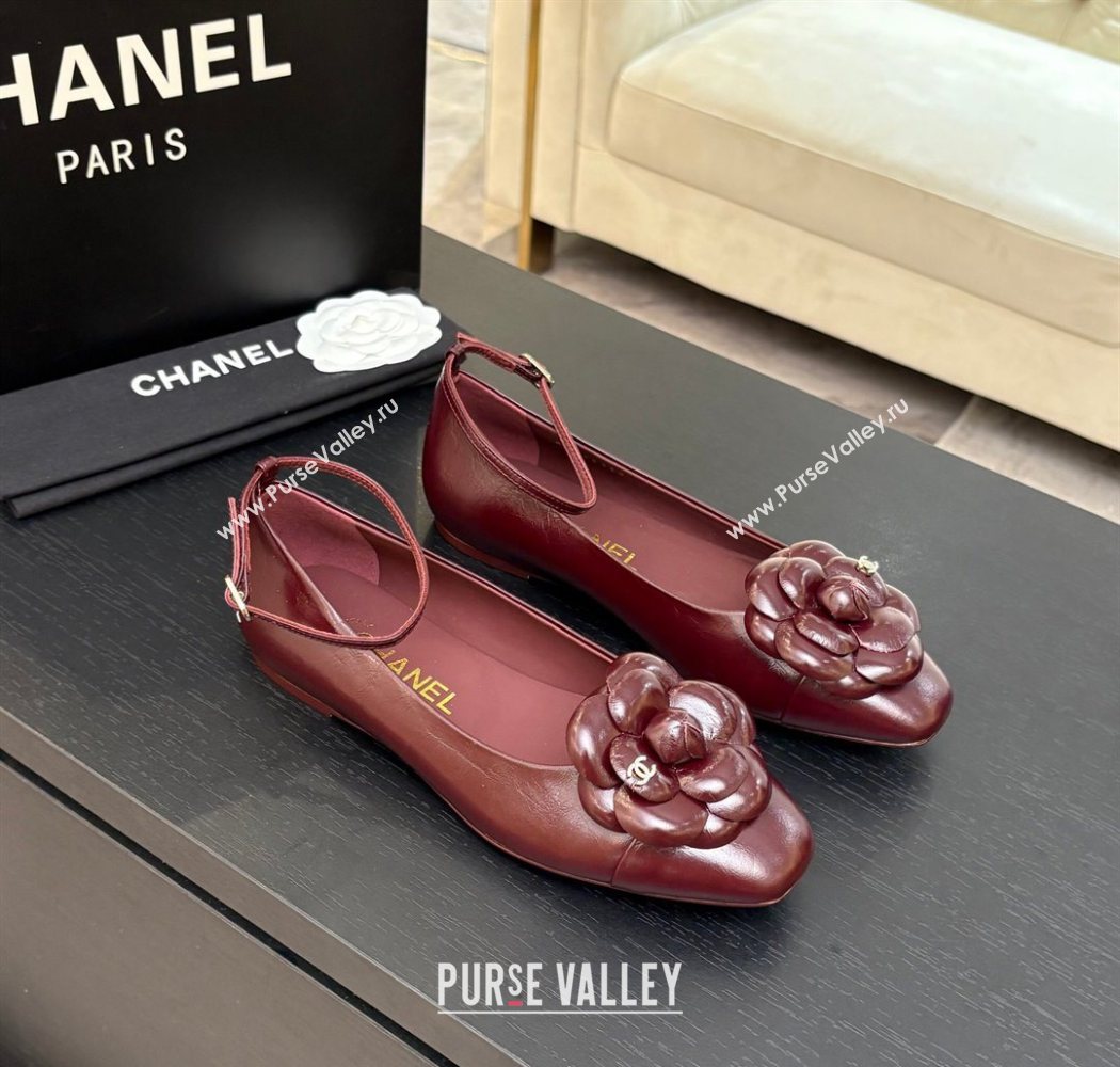 Chanel Shiny Calfskin Ballet flats with Ankle Strap with Camellia Burgundy 2025 G46520 (MD-250901180)