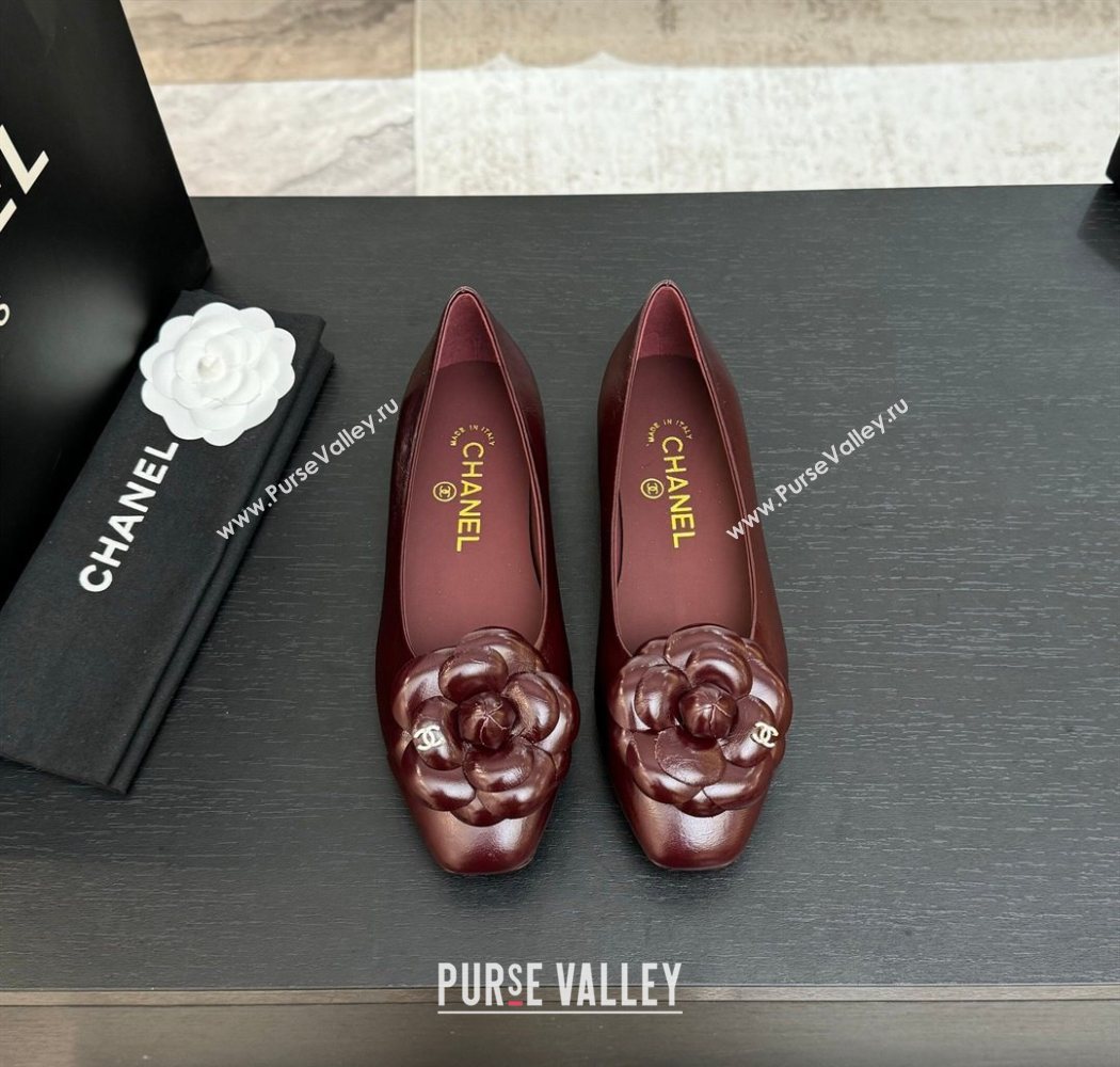 Chanel Shiny Calfskin Ballet flats with Camellia Bloom Burgundy 2025 G46520 (MD-250901187)