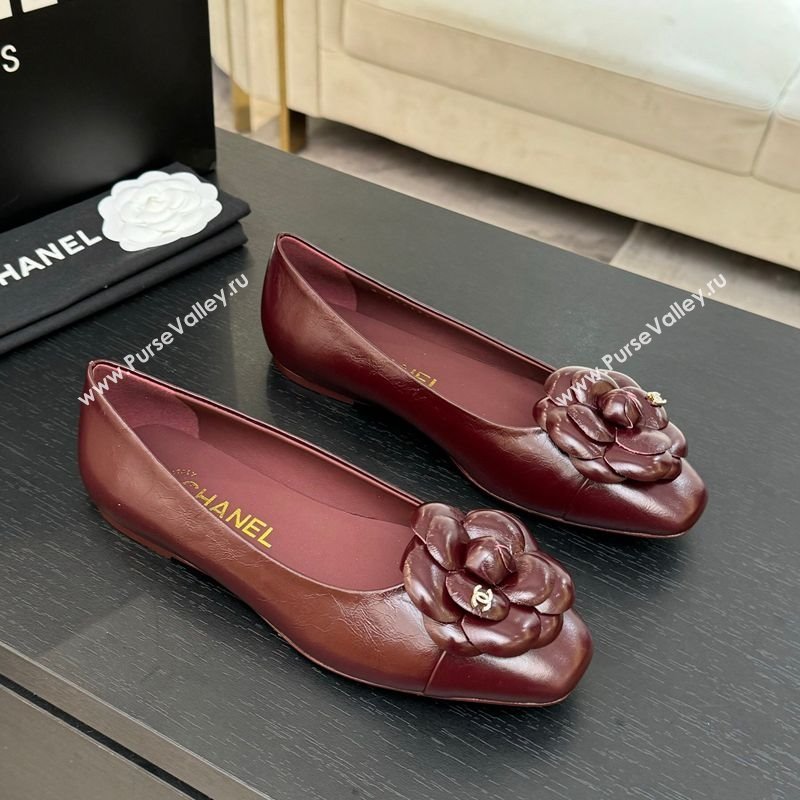 Chanel Shiny Calfskin Ballet flats with Camellia Bloom Burgundy 2025 G46520 (MD-250901187)