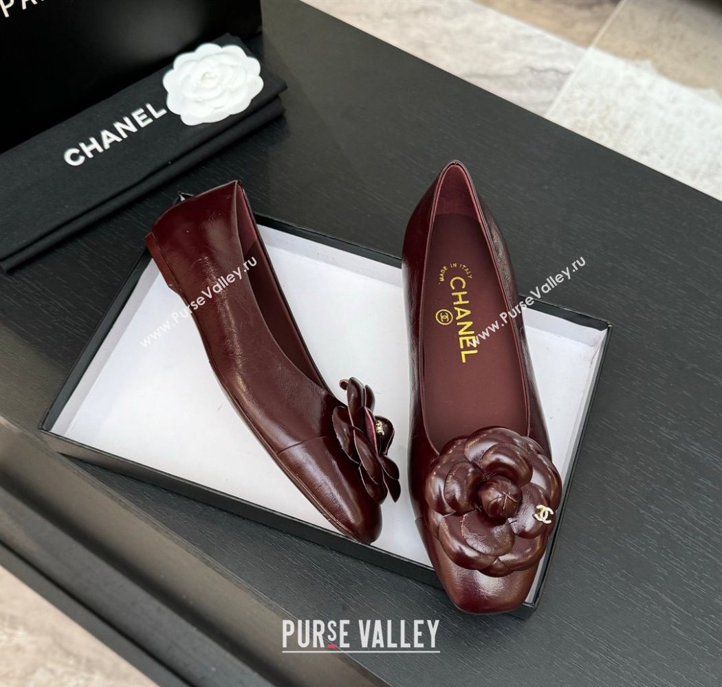 Chanel Shiny Calfskin Ballet flats with Camellia Bloom Burgundy 2025 G46520 (MD-250901187)