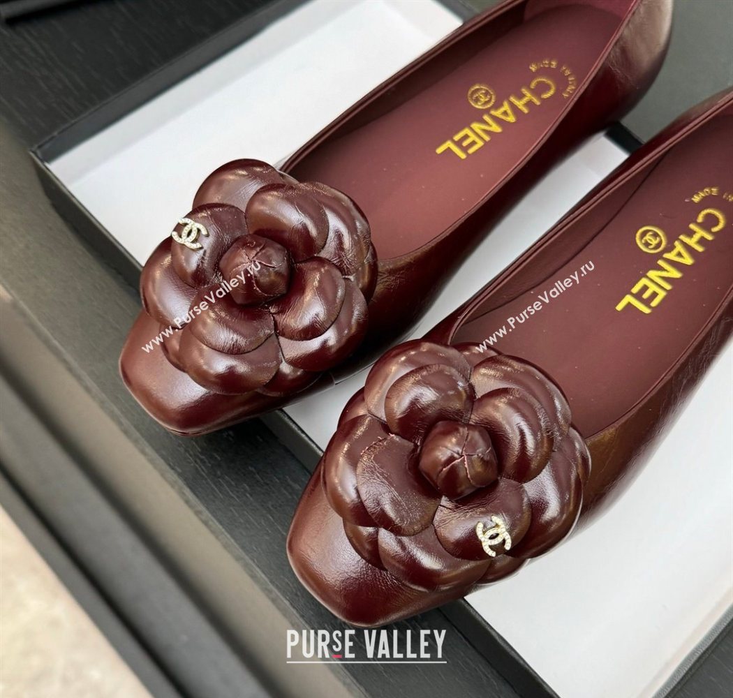 Chanel Shiny Calfskin Ballet flats with Camellia Bloom Burgundy 2025 G46520 (MD-250901187)