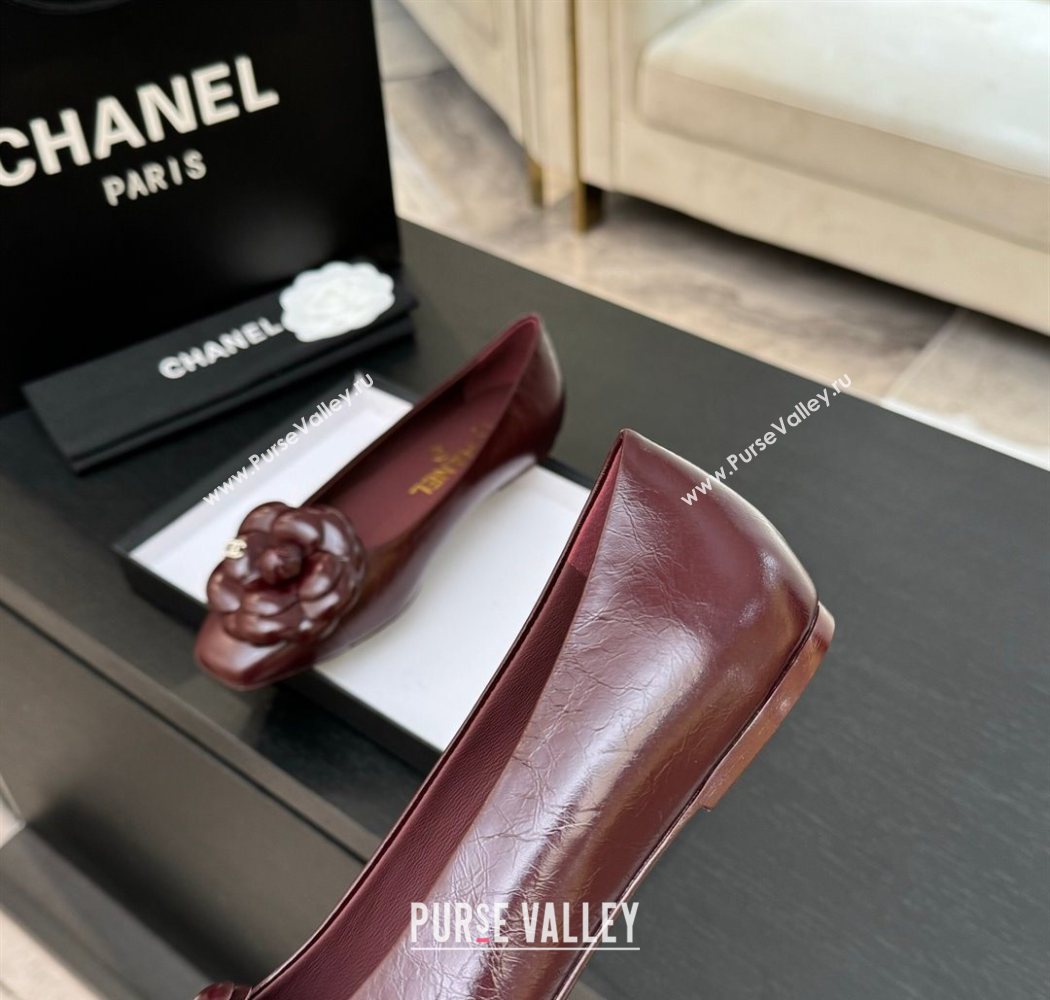 Chanel Shiny Calfskin Ballet flats with Camellia Bloom Burgundy 2025 G46520 (MD-250901187)