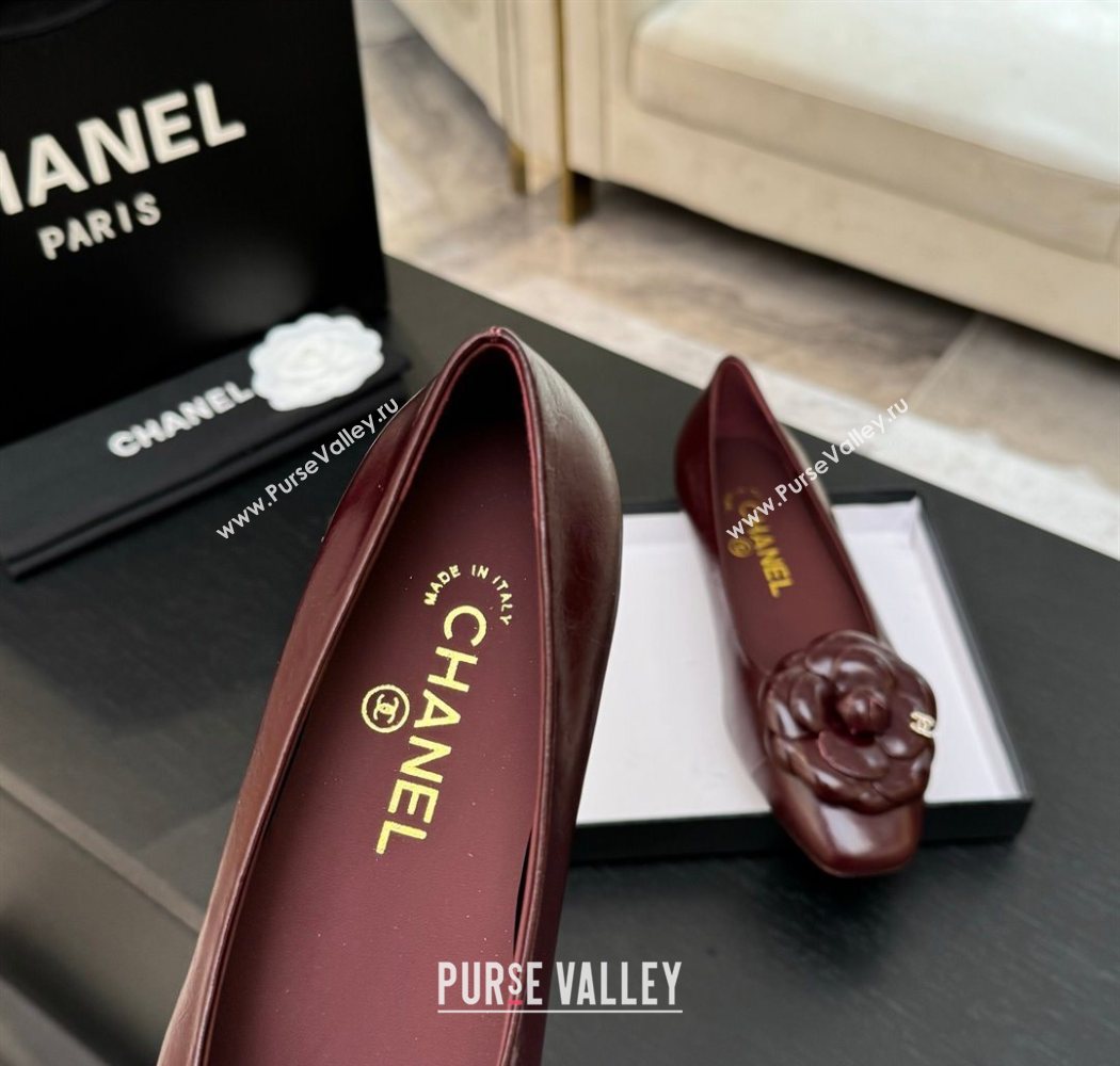 Chanel Shiny Calfskin Ballet flats with Camellia Bloom Burgundy 2025 G46520 (MD-250901187)