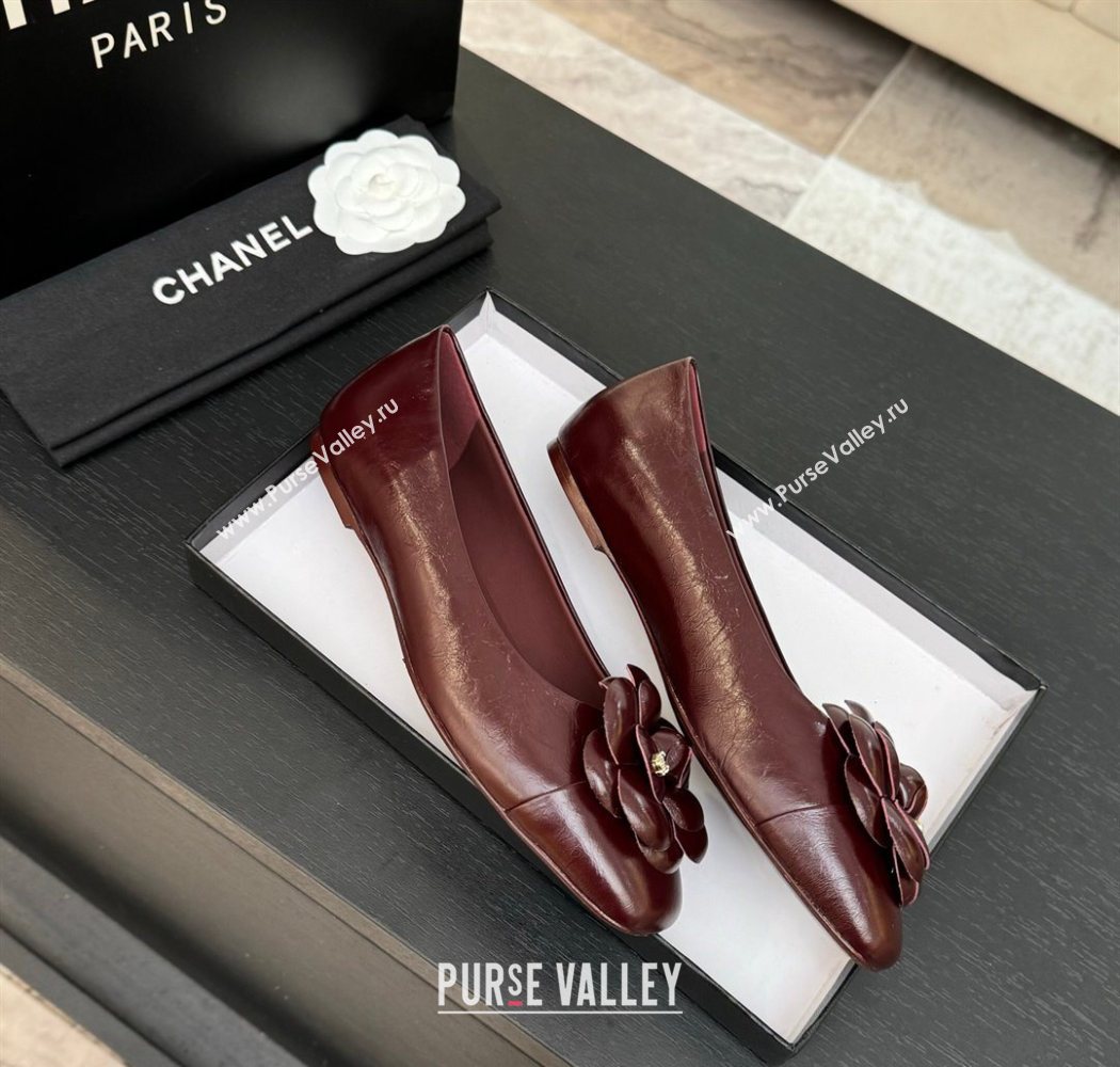 Chanel Shiny Calfskin Ballet flats with Camellia Bloom Burgundy 2025 G46520 (MD-250901187)