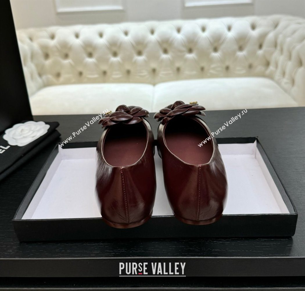 Chanel Shiny Calfskin Ballet flats with Camellia Bloom Burgundy 2025 G46520 (MD-250901187)