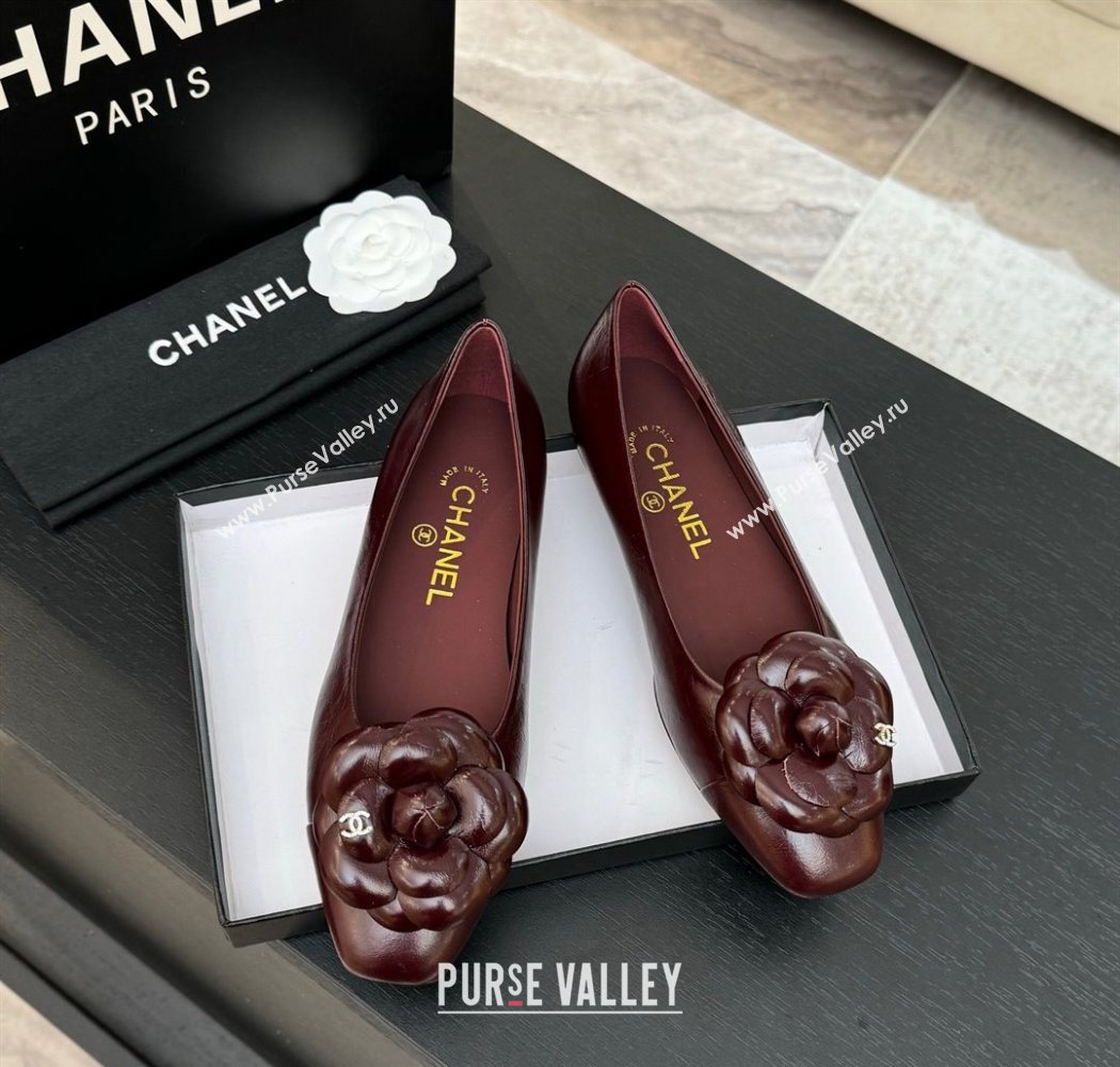 Chanel Shiny Calfskin Ballet flats with Camellia Bloom Burgundy 2025 G46520 (MD-250901187)