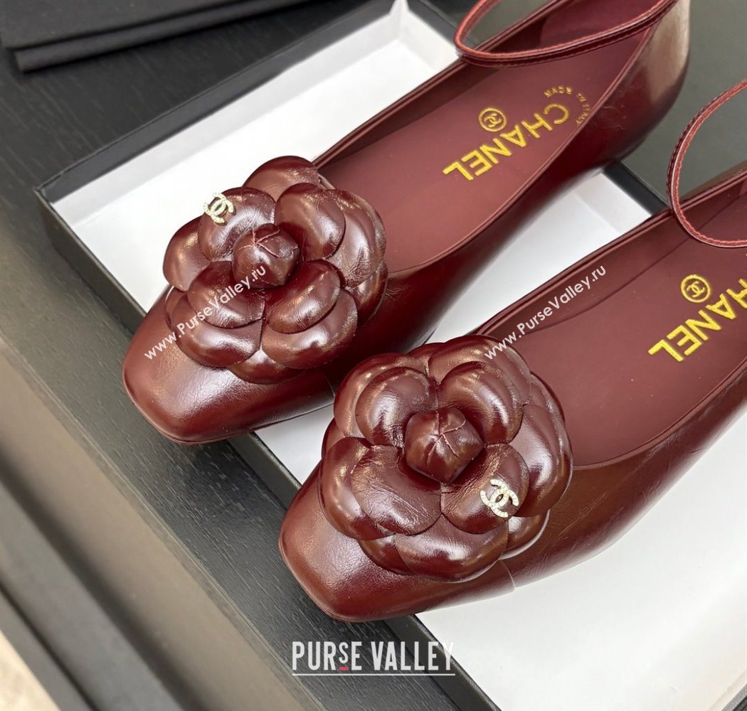Chanel Shiny Calfskin Ballet flats with Ankle Strap with Camellia Burgundy 2025 G46520 (MD-250901180)