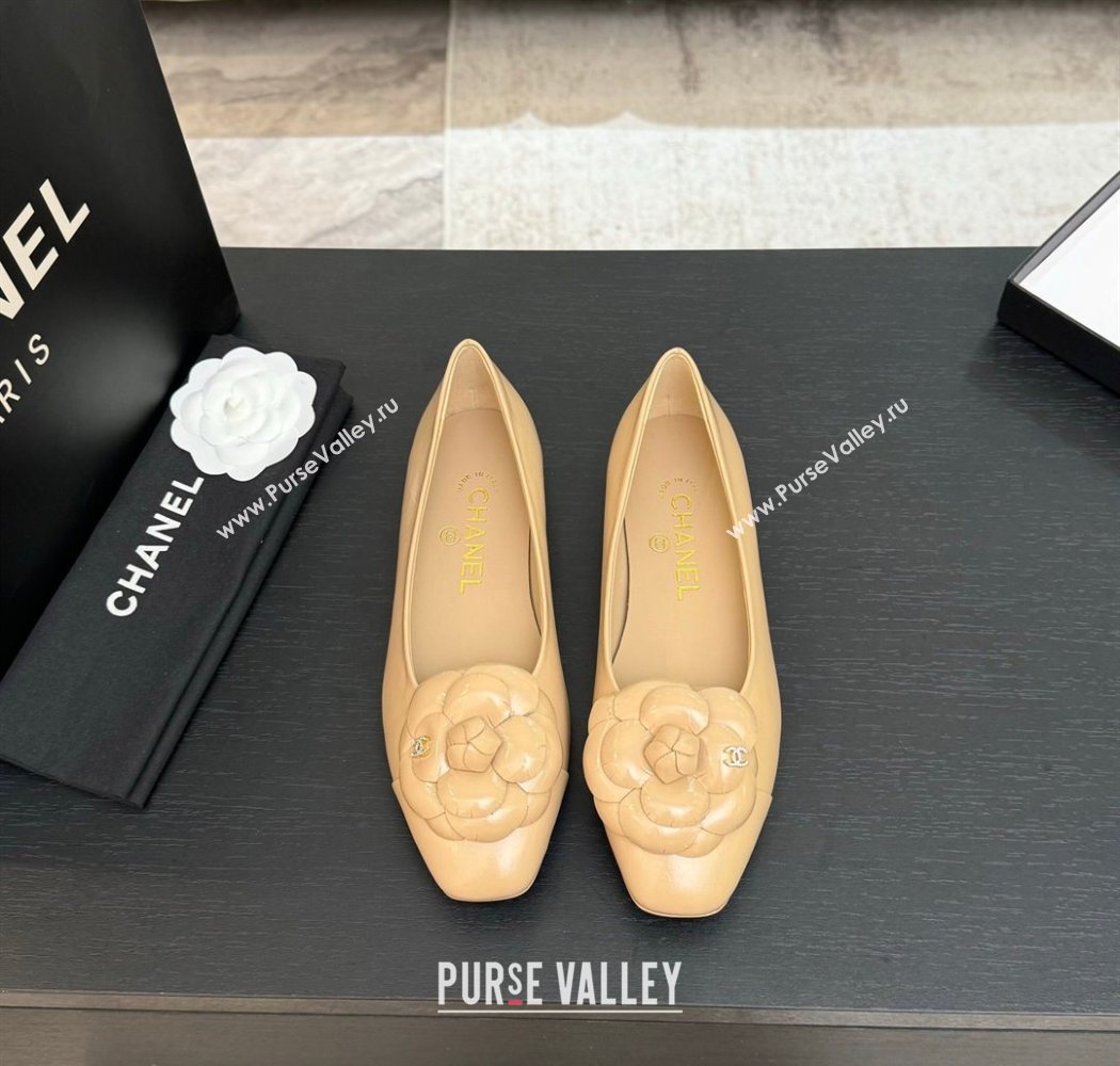 Chanel Shiny Calfskin Ballet flats with Camellia Bloom Beige 2025 G46520 (MD-250901188)