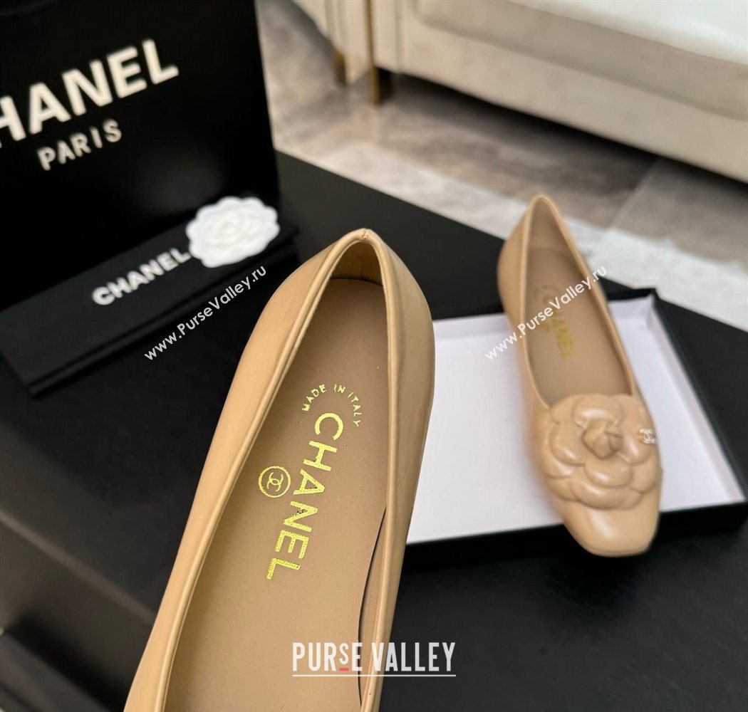Chanel Shiny Calfskin Ballet flats with Camellia Bloom Beige 2025 G46520 (MD-250901188)