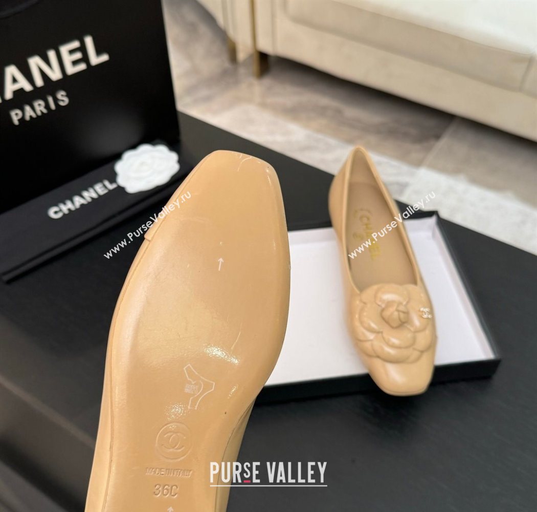 Chanel Shiny Calfskin Ballet flats with Camellia Bloom Beige 2025 G46520 (MD-250901188)