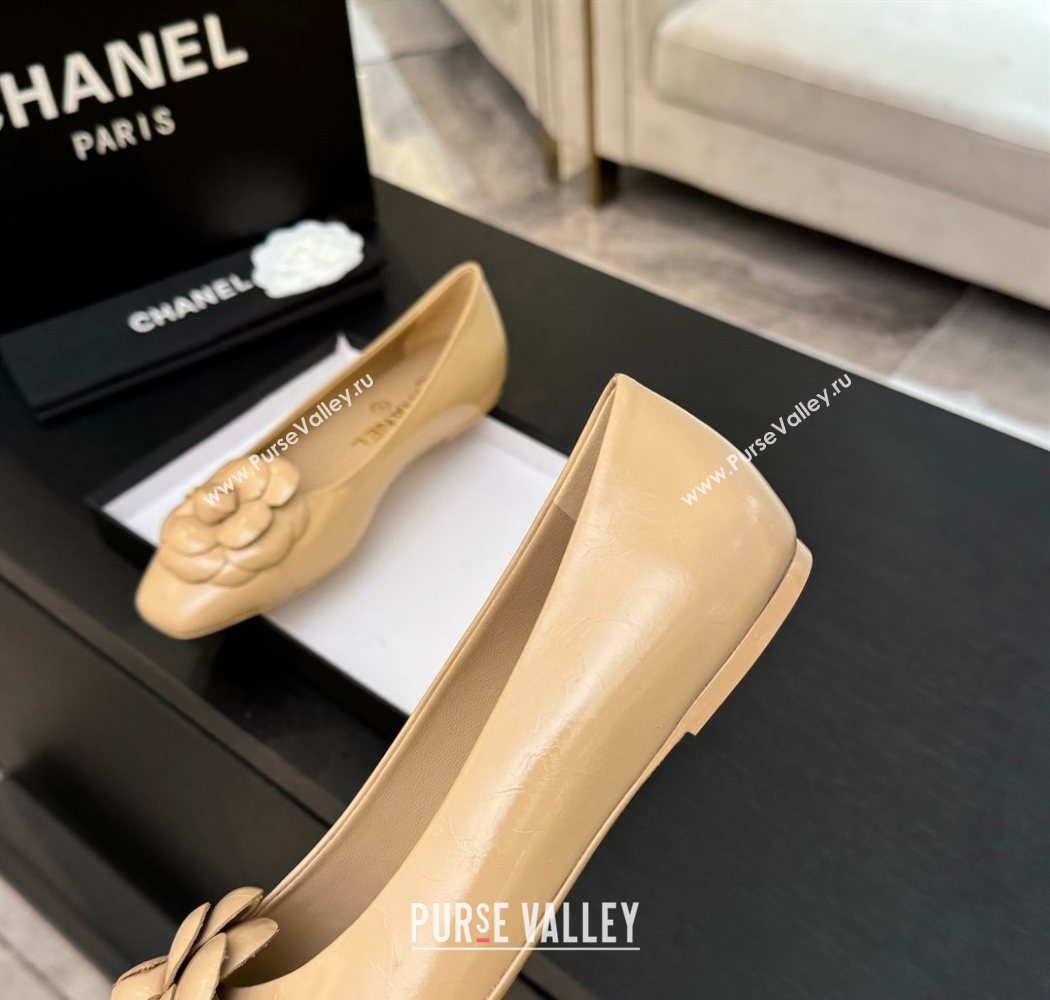 Chanel Shiny Calfskin Ballet flats with Camellia Bloom Beige 2025 G46520 (MD-250901188)