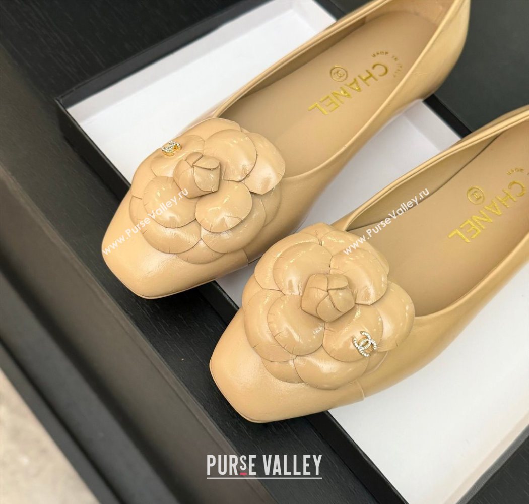 Chanel Shiny Calfskin Ballet flats with Camellia Bloom Beige 2025 G46520 (MD-250901188)