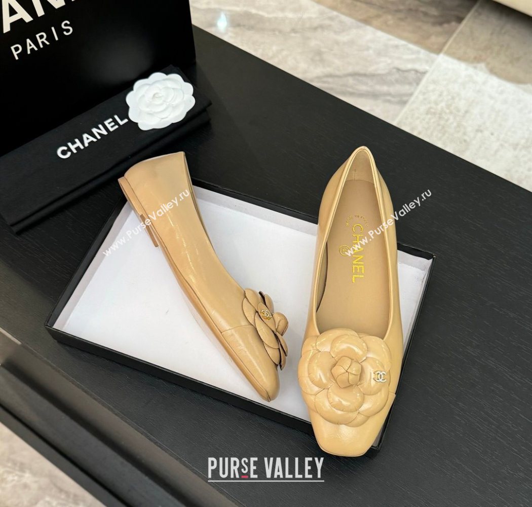 Chanel Shiny Calfskin Ballet flats with Camellia Bloom Beige 2025 G46520 (MD-250901188)