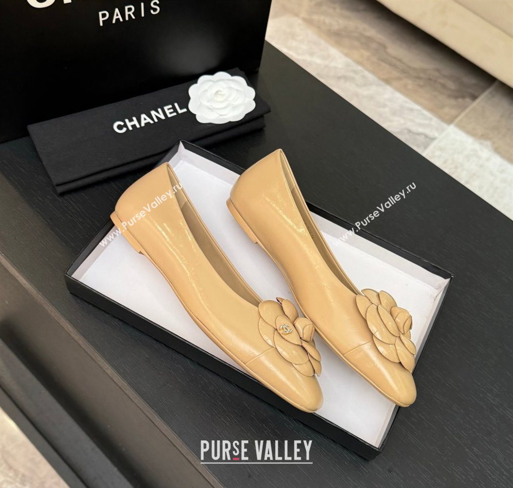 Chanel Shiny Calfskin Ballet flats with Camellia Bloom Beige 2025 G46520 (MD-250901188)