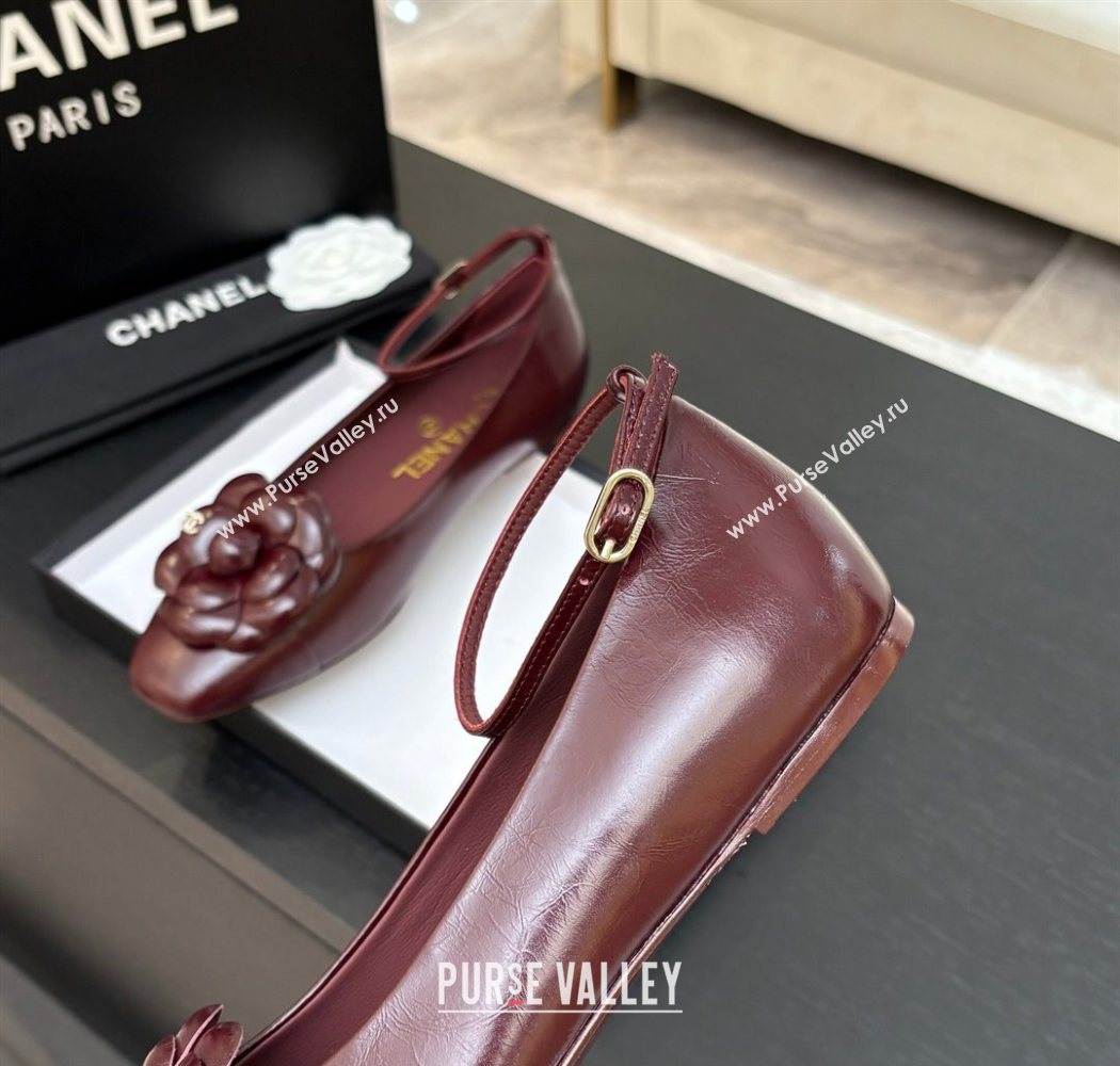 Chanel Shiny Calfskin Ballet flats with Ankle Strap with Camellia Burgundy 2025 G46520 (MD-250901180)