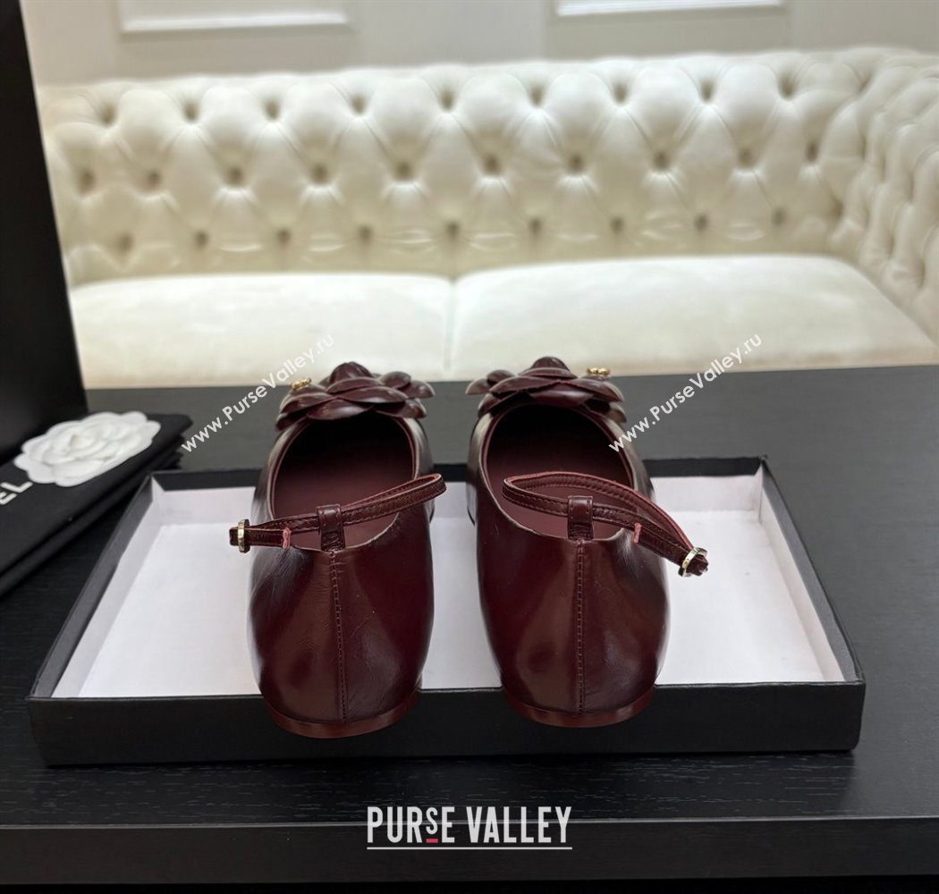 Chanel Shiny Calfskin Ballet flats with Ankle Strap with Camellia Burgundy 2025 G46520 (MD-250901180)