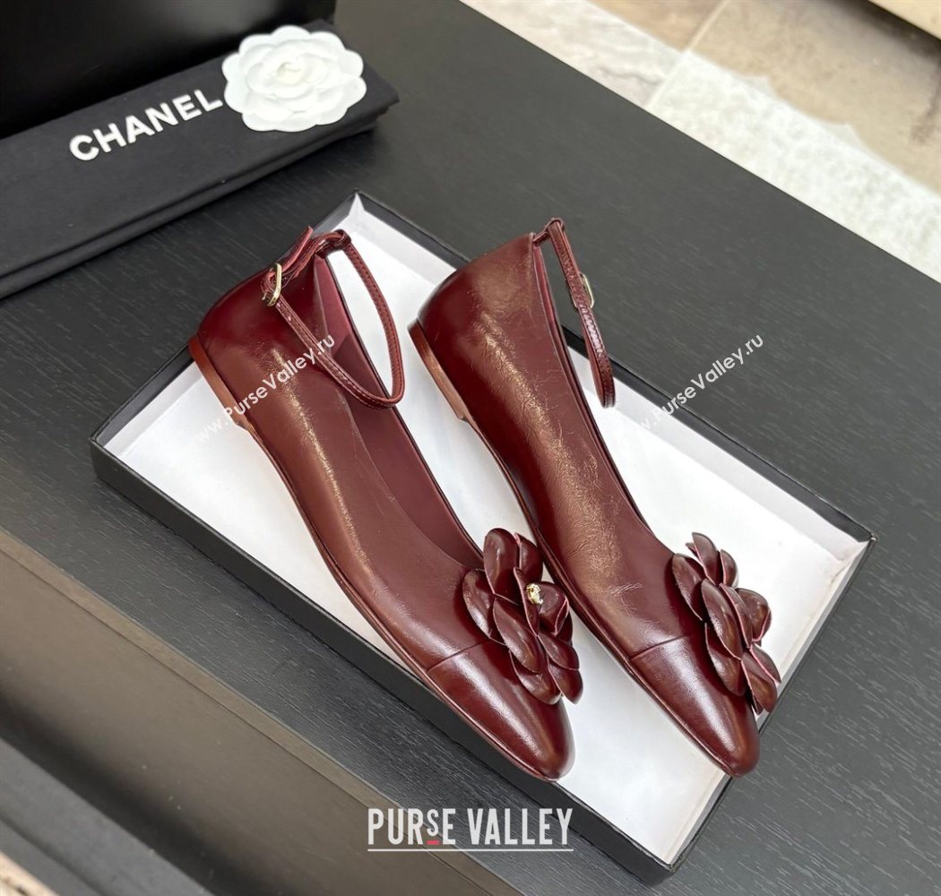 Chanel Shiny Calfskin Ballet flats with Ankle Strap with Camellia Burgundy 2025 G46520 (MD-250901180)