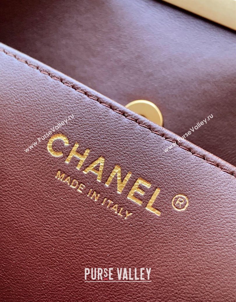 Chanel Quilted Leather Large Flap Handbag Dark Brown 2025 CH101001 (yezi-251010012)