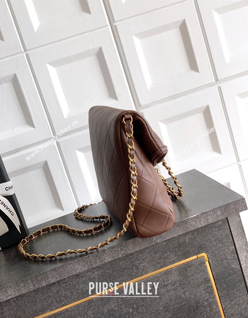 Chanel Quilted Leather Medium Flap Handbag Dark Brown 2025 CH101001 (yezi-251010020)