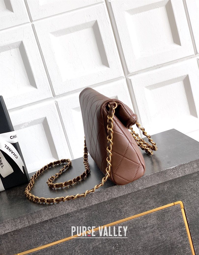 Chanel Quilted Leather Small Flap Handbag Dark Brown 2025 CH101001 (yezi-251010028)