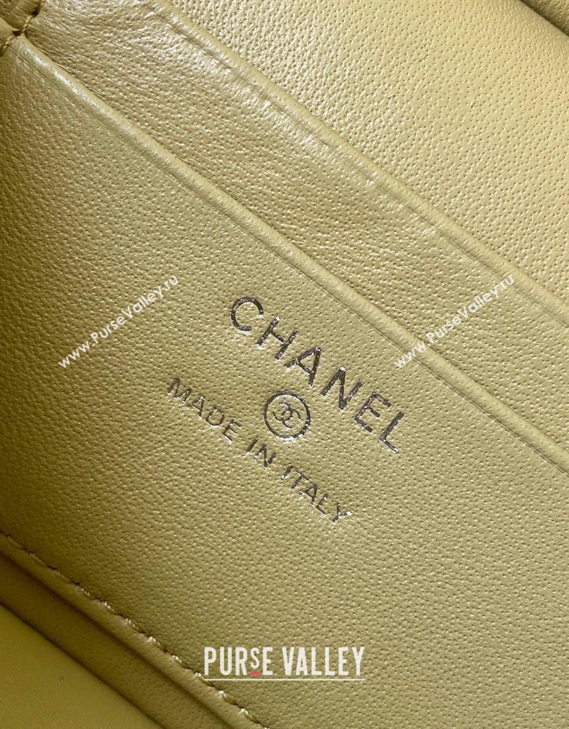 Chanel Grained Shiny Calfskin Vanity Case with Chain and Top Handle Yellow Green 2025 AP4936 (yezi-251010135)