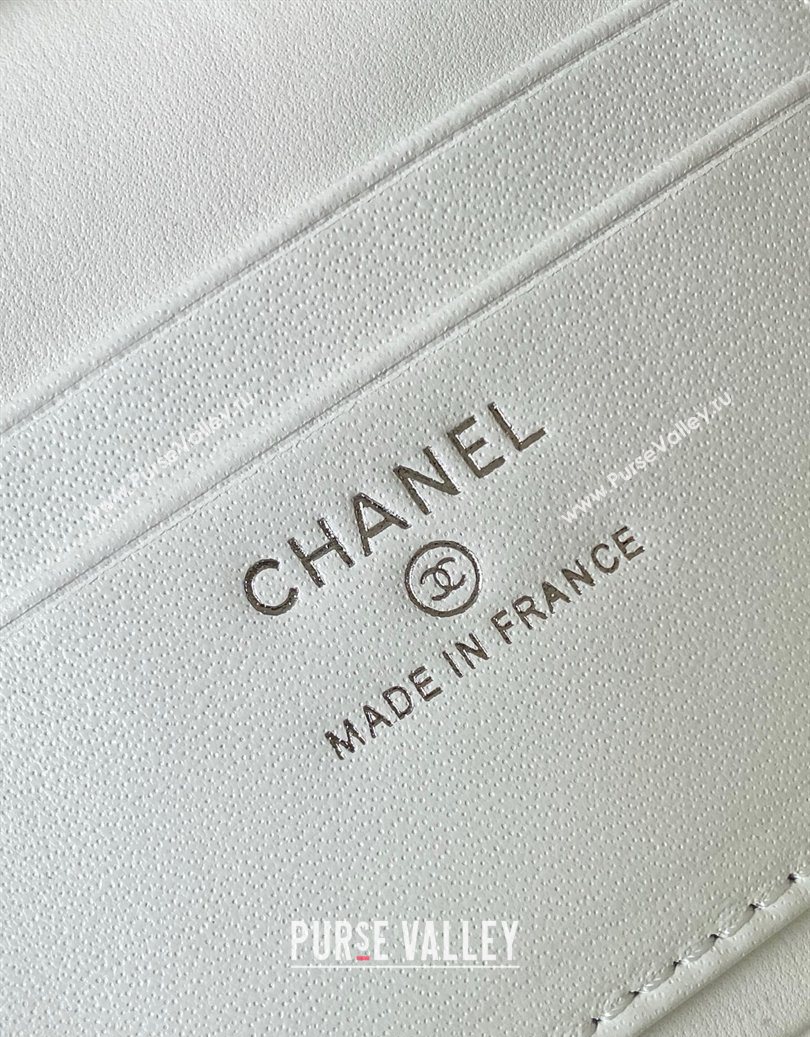 Chanel Grained Shiny Calfskin Vanity Case with Chain and Top Handle White/Silver 2025 AP4936 (yezi-251010136)