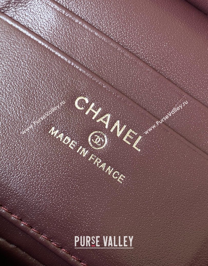 Chanel Grained Shiny Calfskin Vanity Case with Chain and Top Handle Dark Brown/Silver 2025 AP4936 (yezi-251010137)