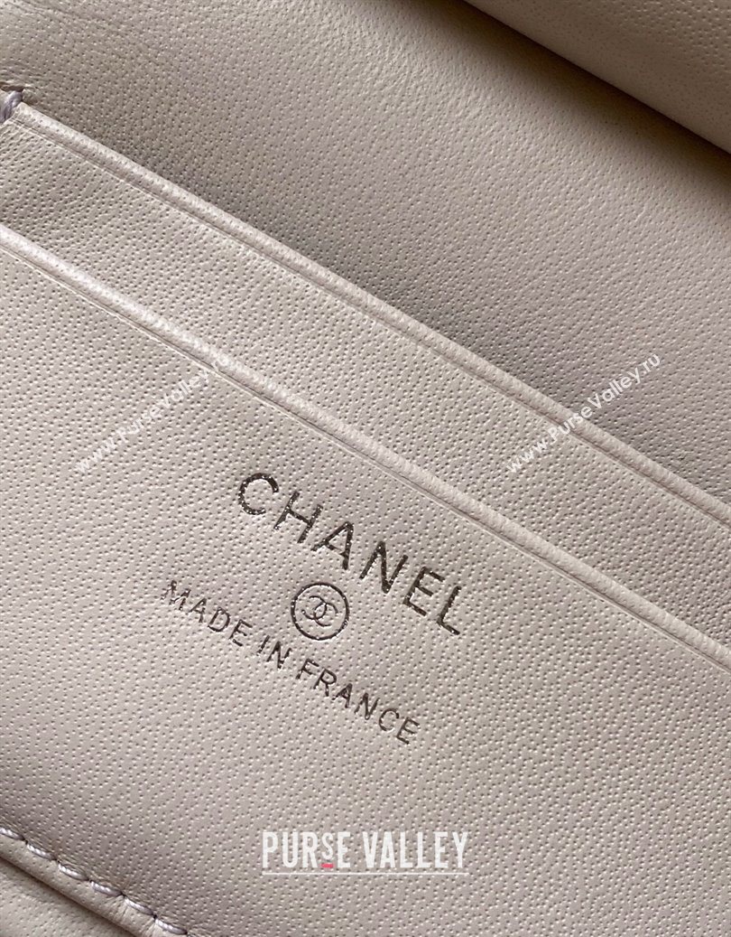 Chanel Grained Shiny Calfskin Vanity Case with Chain and Top Handle Pale Grey/Silver 2025 AP4936 (yezi-251010138)