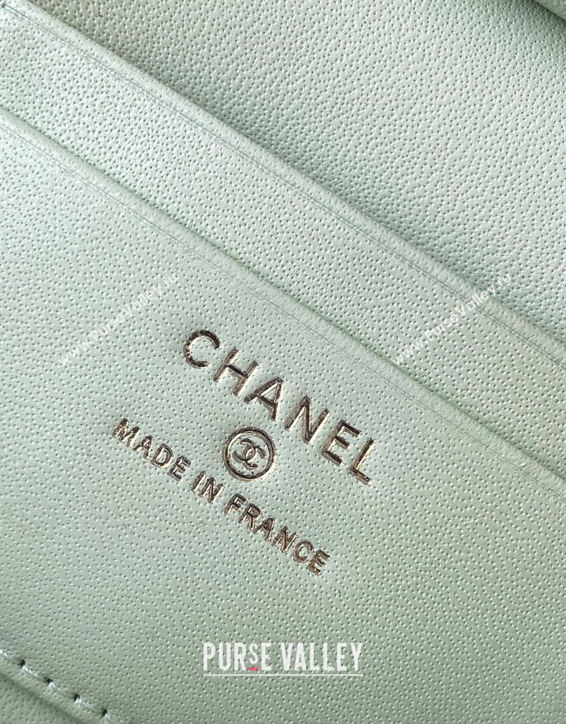 Chanel Grained Shiny Calfskin Vanity Case with Chain and Top Handle Light Green/Silver 2025 AP4936 (yezi-251010139)