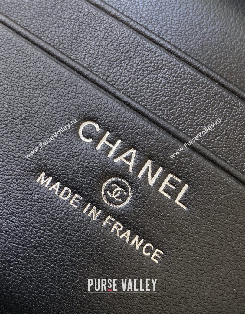 Chanel Grained Shiny Calfskin Vanity Case with Chain and Top Handle Black/Silver 2025 AP4936 (yezi-251010140)