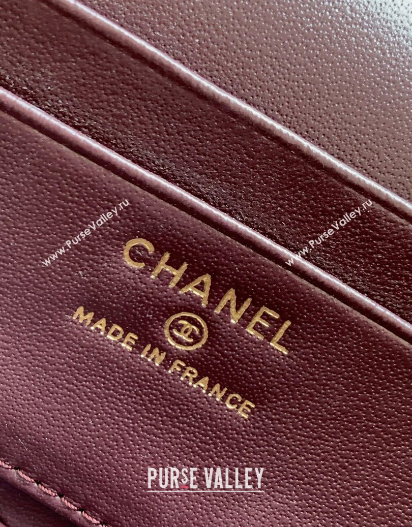 Chanel Grained Shiny Calfskin Vanity Case with Chain and Top Handle Dark Brown/Gold 2025 AP4936 (yezi-251010143)