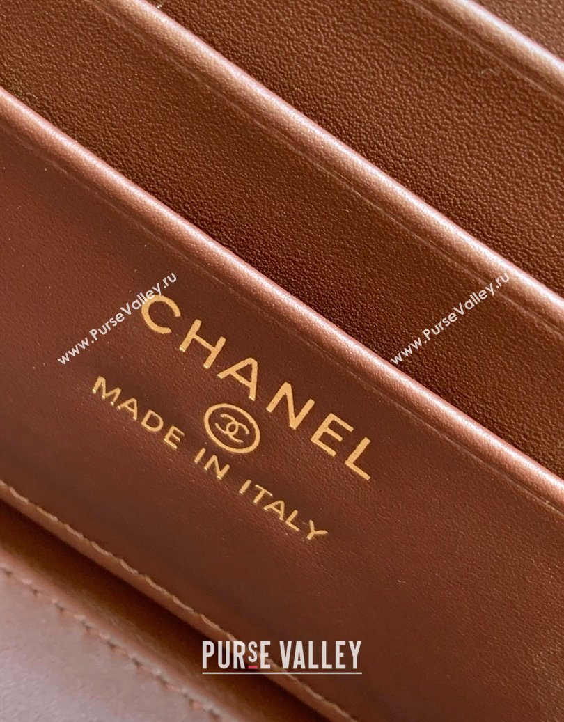 Chanel Grained Shiny Calfskin Long Vanity with Chain and Top Handle Brown 2025 AP4933 (yezi-251010145)