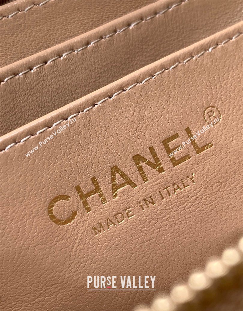 Chanel Suede Zipped Phone Holder with Chain and Strass Brown 2025 CH101102 (yezi-251011041)