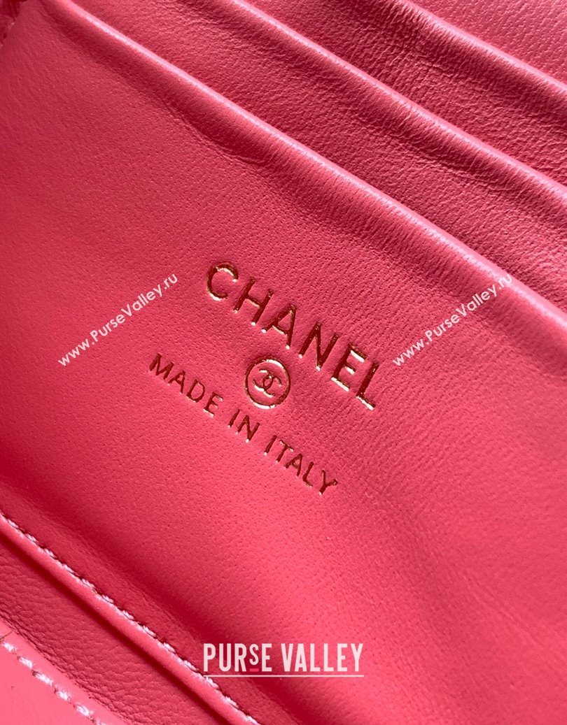 Chanel Velvet Vanity Case with Chain and Strass Ball Pink 2025 CH101007 (yezi-251010123)