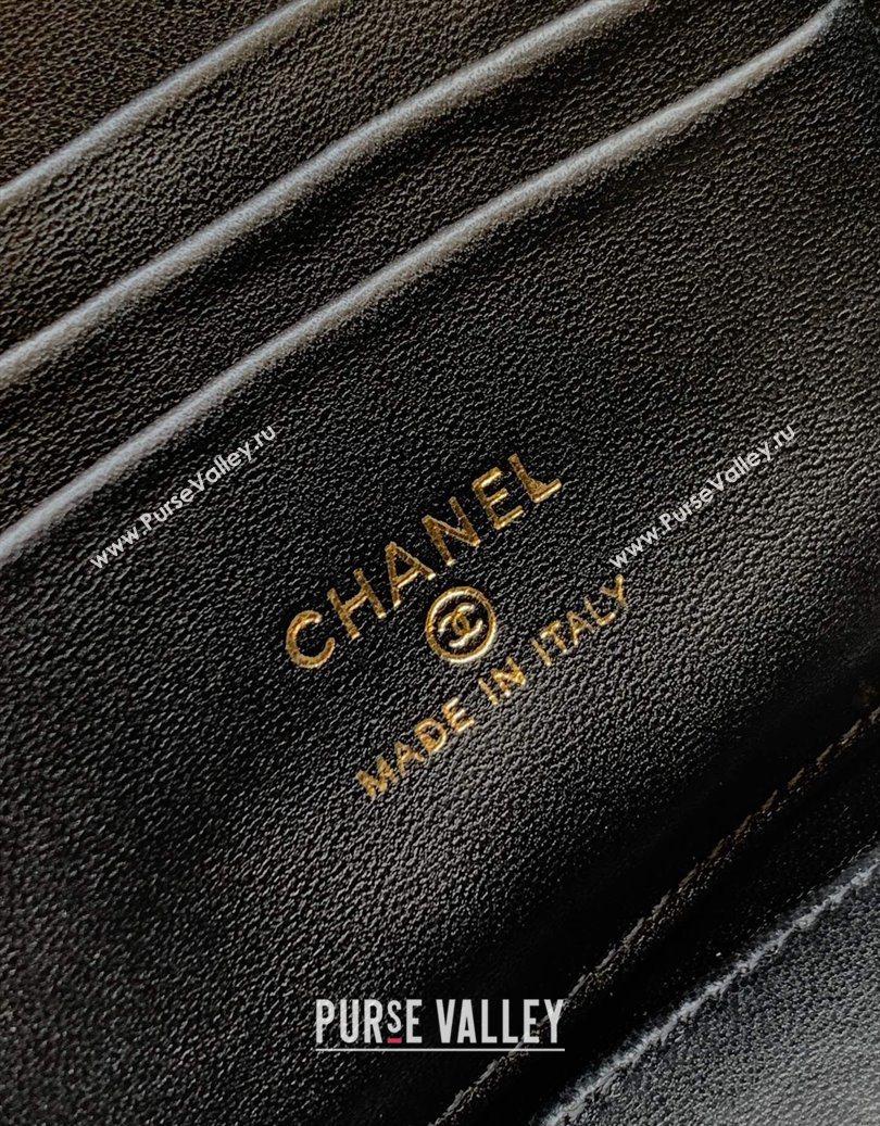 Chanel Velvet Vanity Case with Chain and Strass Ball Black 2025 CH101007 (yezi-251010124)