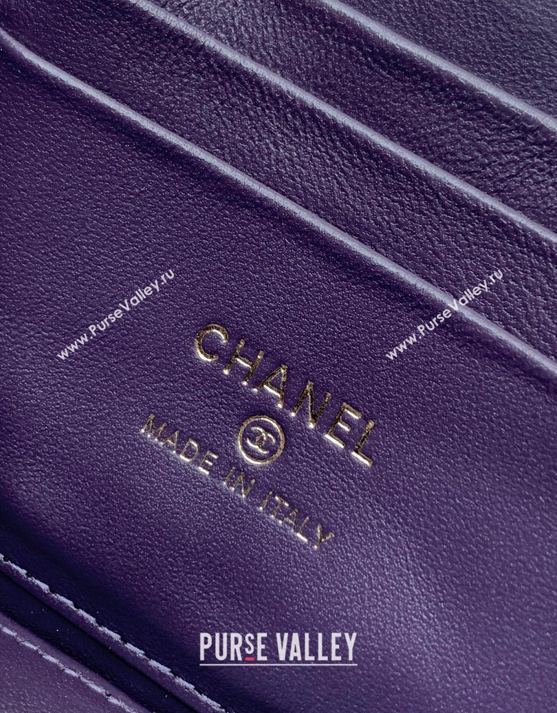 Chanel Velvet Vanity Case with Chain and Strass Ball Purple 2025 CH101007 (yezi-251010125)