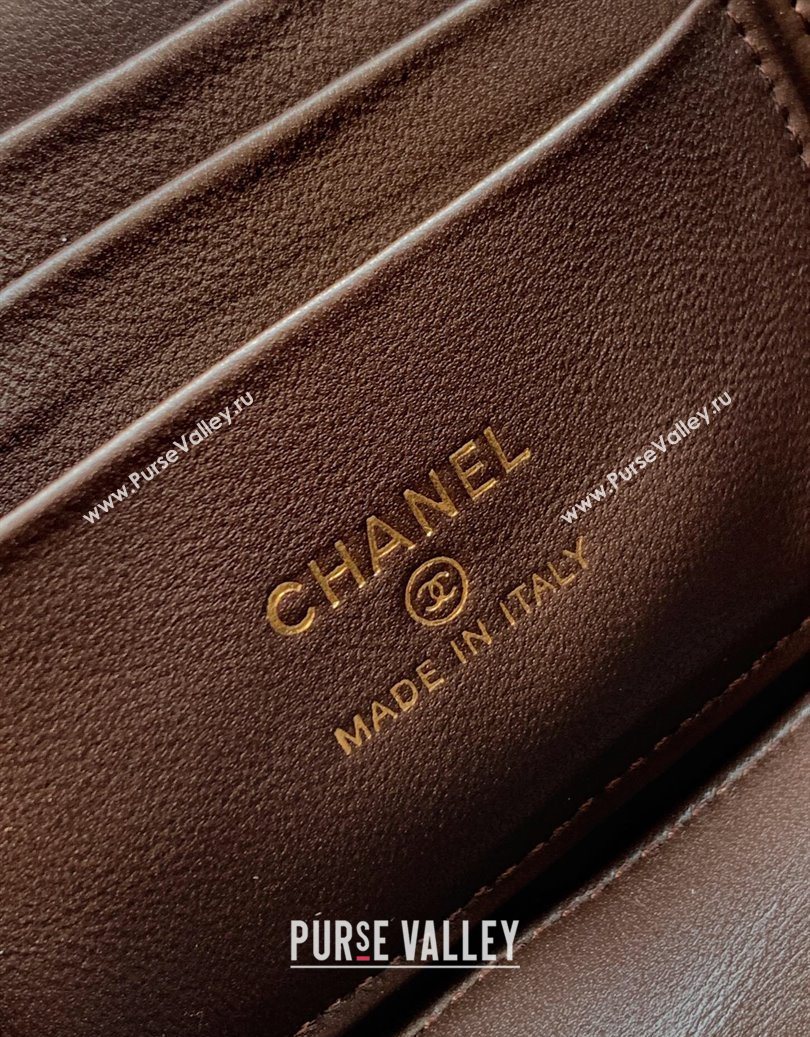 Chanel Velvet Vanity Case with Chain and Strass Ball Coffee Brown 2025 CH101007 (yezi-251010128)