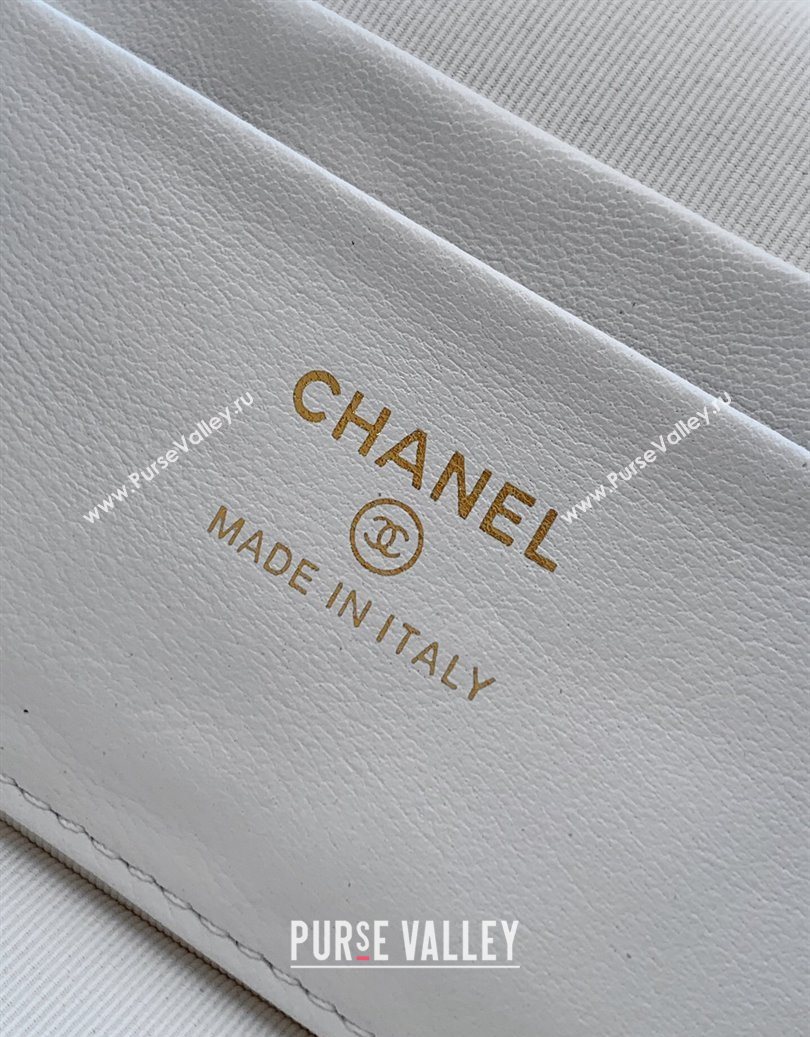 Chanel Grained Shiny Calfskin Vanity Case with Chain and Top Handle White/Gold 2025 AP4936 (yezi-251010131)