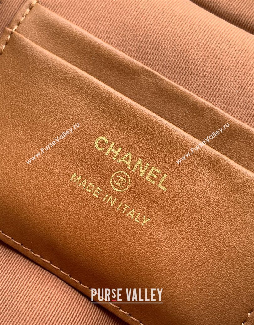Chanel Grained Shiny Calfskin Vanity Case with Chain and Top Handle Caramel Brown 2025 AP4936 (yezi-251010133)